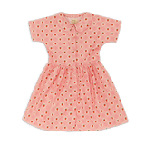 Wander & Wonder Pink Strawberry Aria Dress