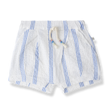 1+ in the family Ultramarine Conca Bermuda