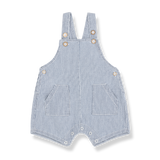 1+ in the family Denim Talaies Dungaree