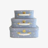 Alimrose Blue Star Carry Case